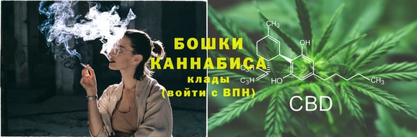 COCAINE Богородицк
