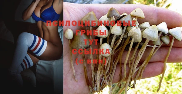 круглые Богданович