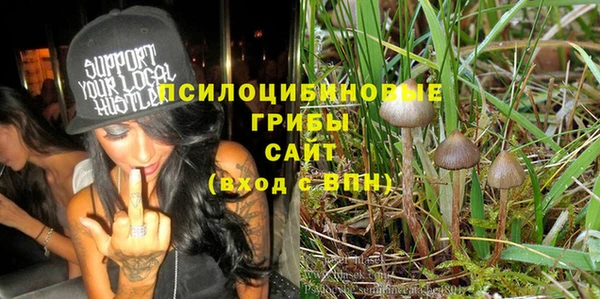 COCAINE Богородицк